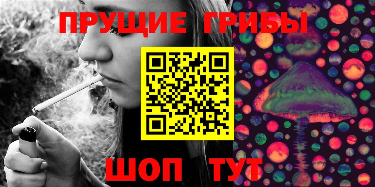 Псилоцибиновые грибы Psilocybe  Вход с VPN  купить закладку  Нижнекамск 